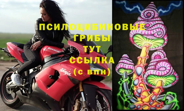 дживик Коряжма