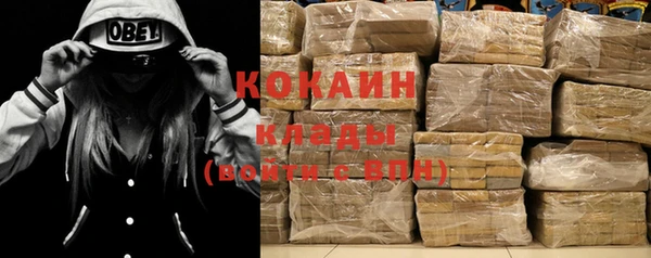 дживик Коряжма