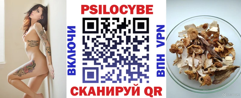 Псилоцибиновые грибы Psilocybe  как найти   Юрьевец 